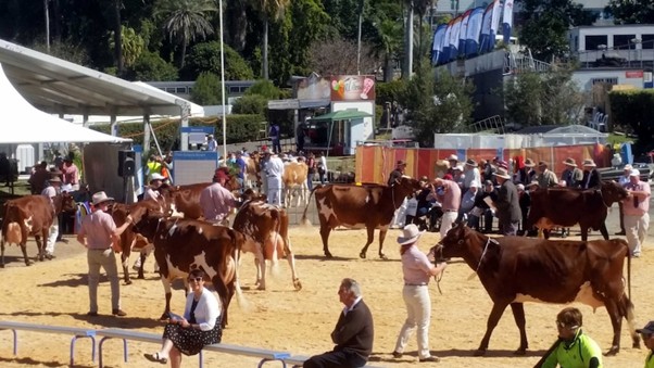 2015 Brisbane Show
