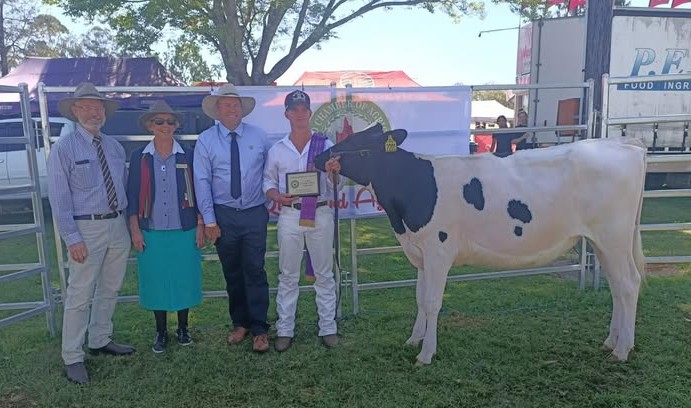 Patrick English Beaudesert Show