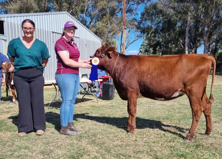 2024 Vic Calf Day
