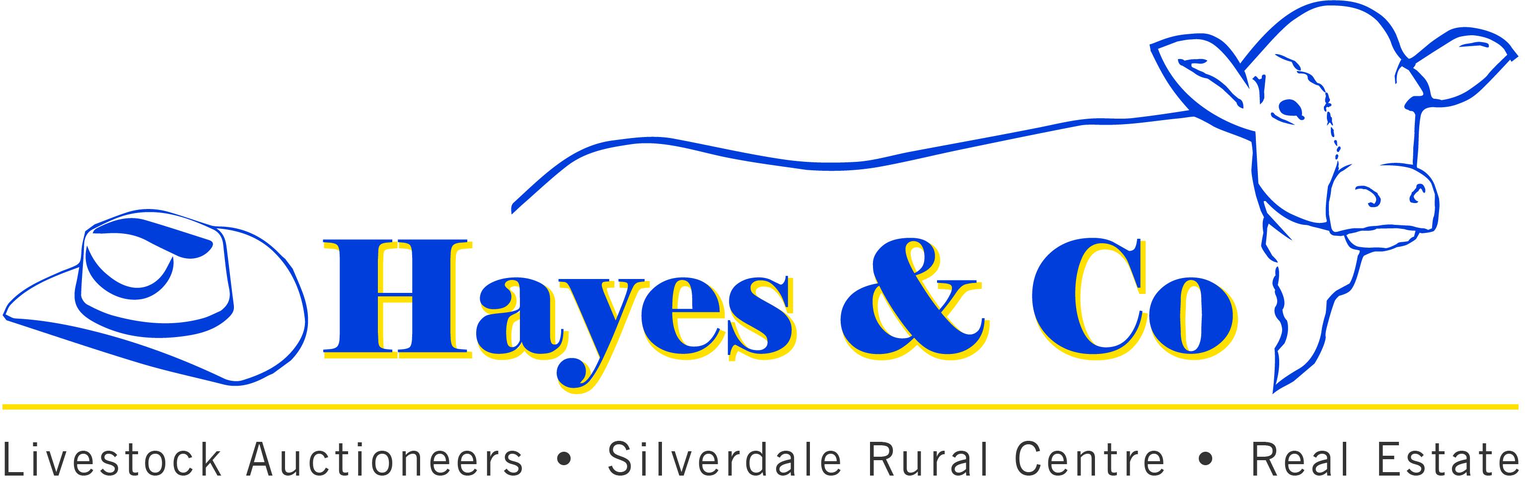 Hayes Co