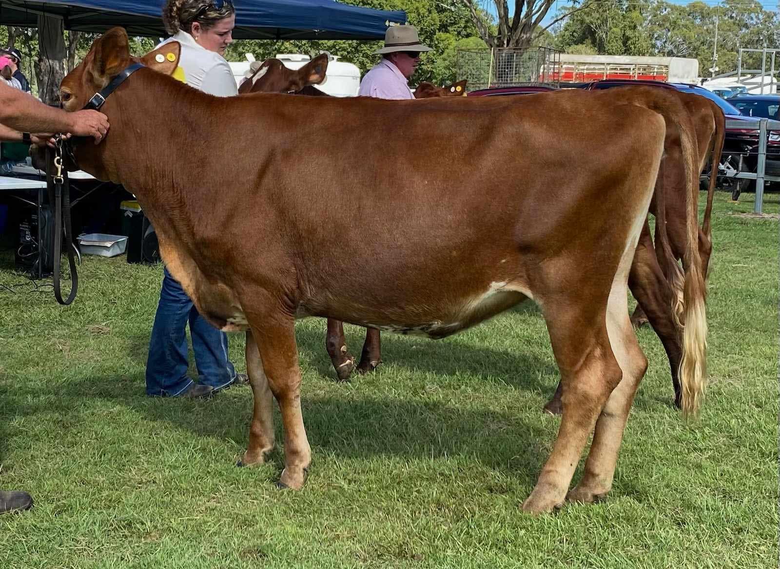 SEQ CD Riverwood Betsy 465
