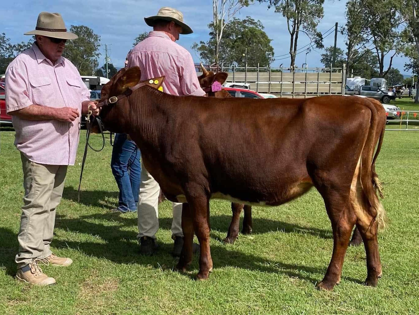 SEQ CD Riverwood Joan 481