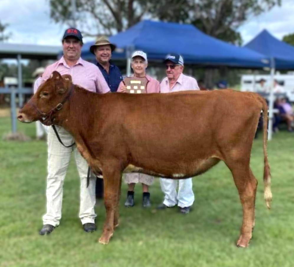 SEQ Calf Day 2025 Baden Teese Trophy RIVERWOOD DAISY 472