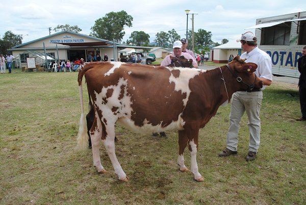 Gympie 2018 Class 3