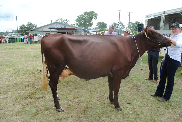 Gympie 2018 Class 8